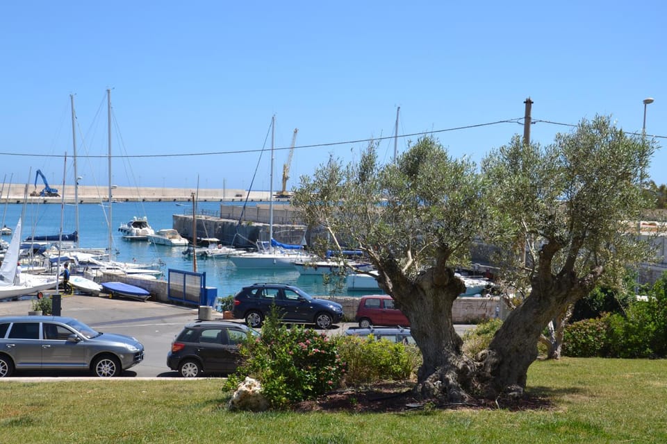 Sea view