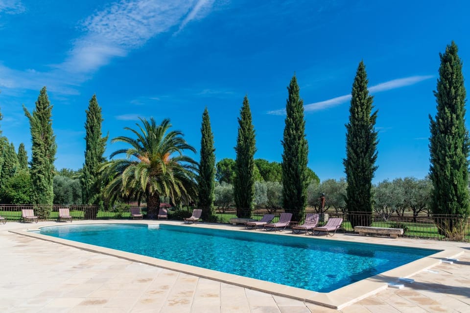 Garden, Pool view, Swimming pool, sunbed