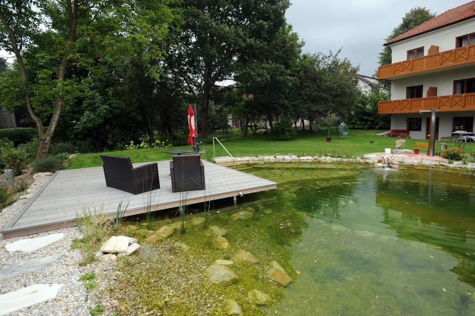 Hotel Geier Hotel in Austria