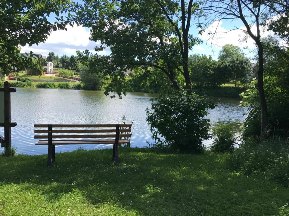 Lake view