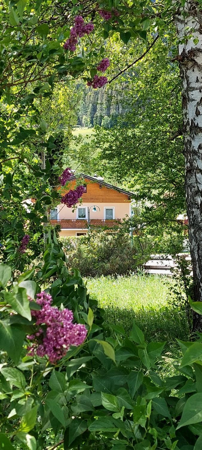 Appartements Haus Bergland Apartment in Salzburgerland