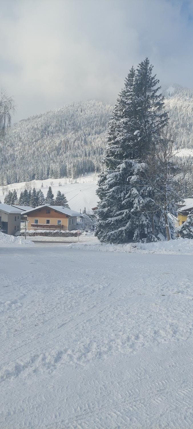 Appartements Haus Bergland Apartment in Salzburgerland