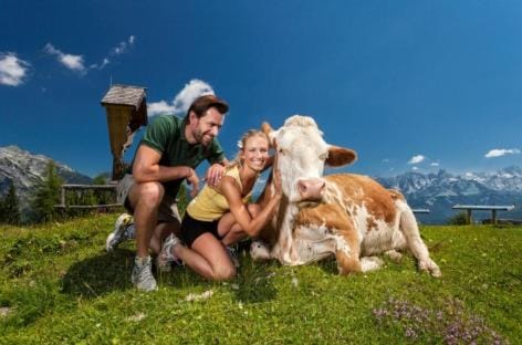 Appartements Haus Bergland Apartment in Salzburgerland