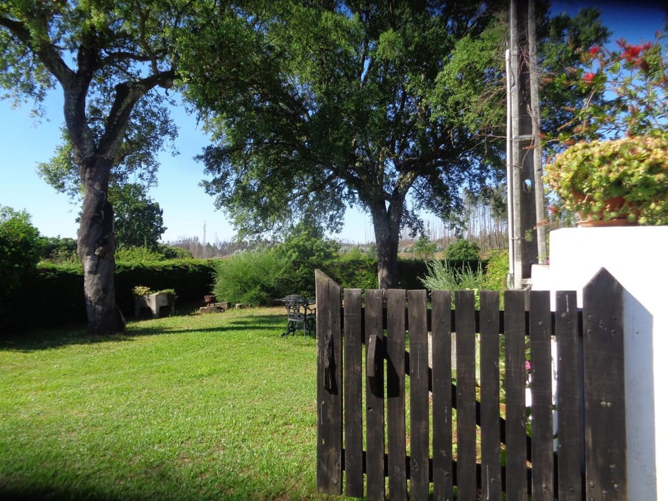 Garden, Area and facilities