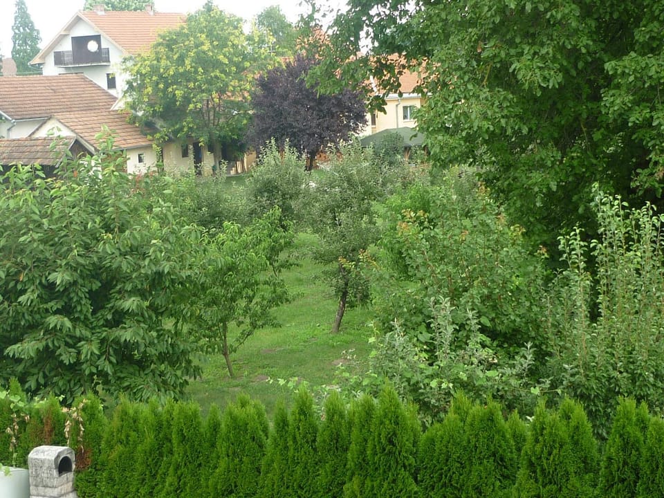 Neighbourhood, Natural landscape, Garden view