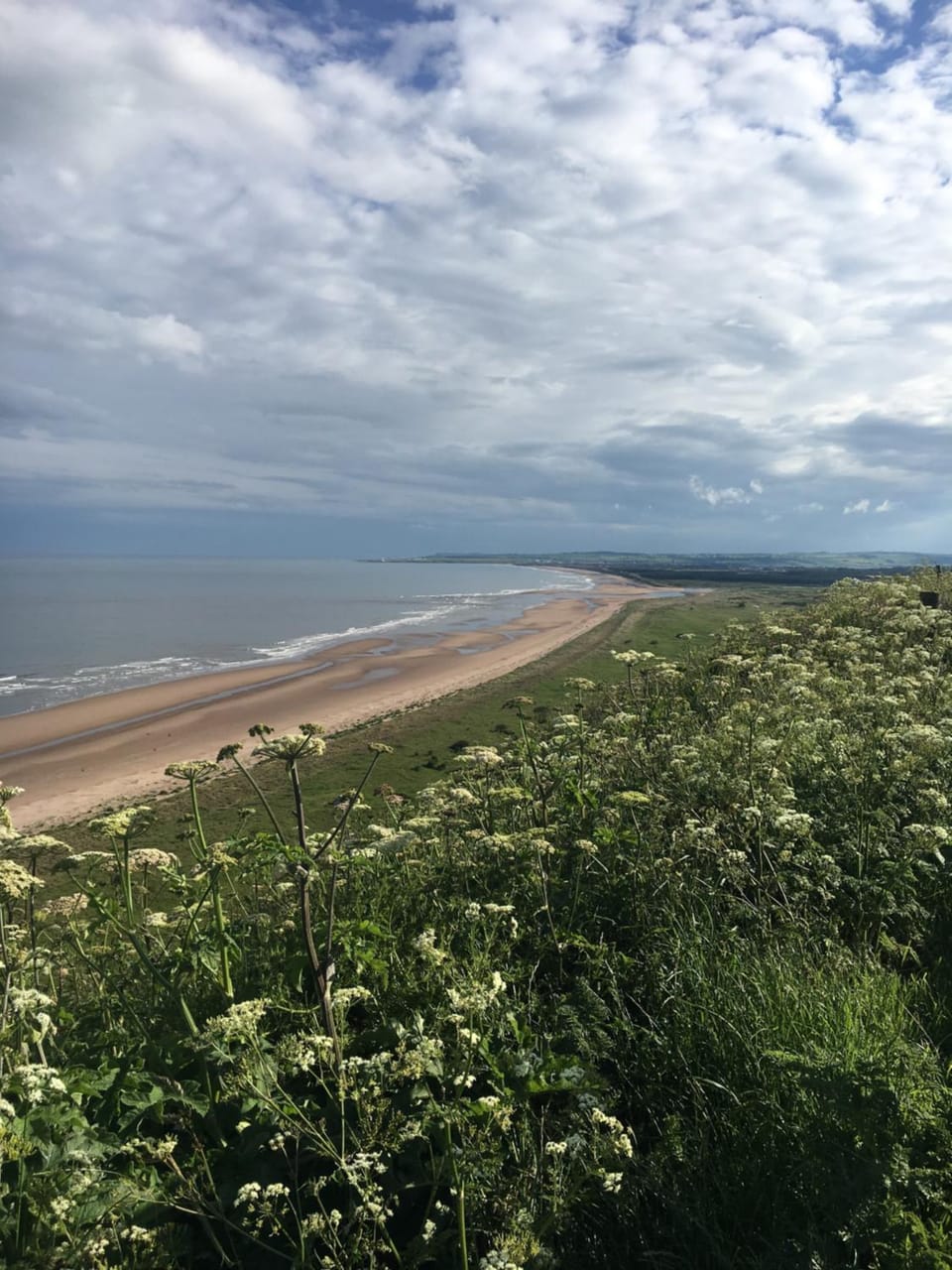 Dunnottar Woods Cottage House in Stonehaven