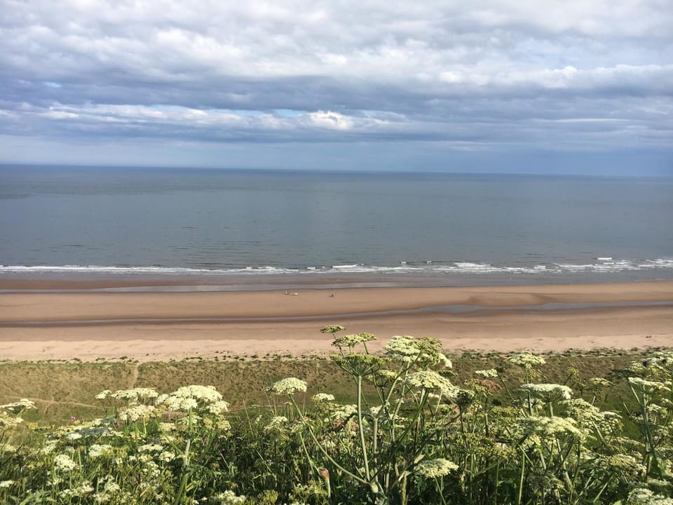 Dunnottar Woods Cottage House in Stonehaven