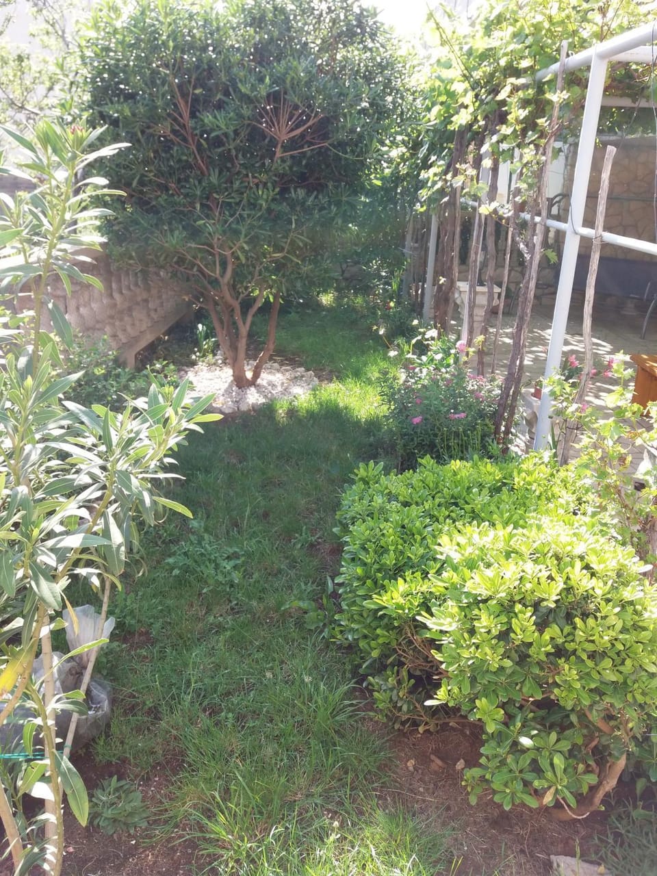 Day, Garden, Garden view