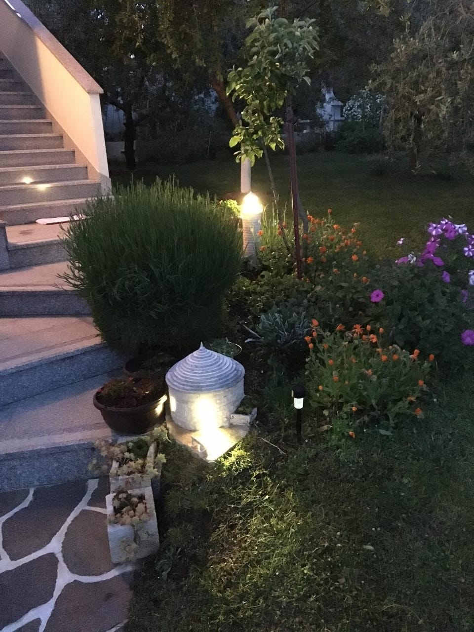 Garden view