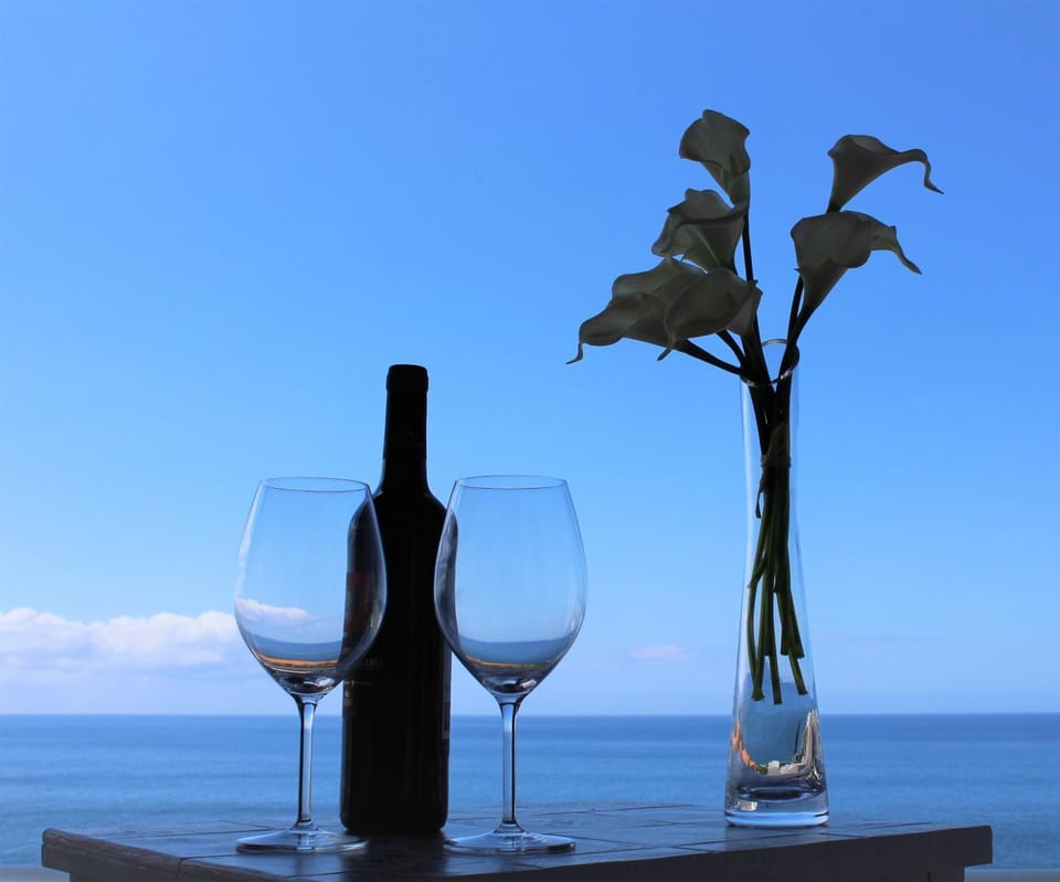 Phenomenal one bedroom Apartment Amazing view over Atlantic Ocean Apartment in Funchal