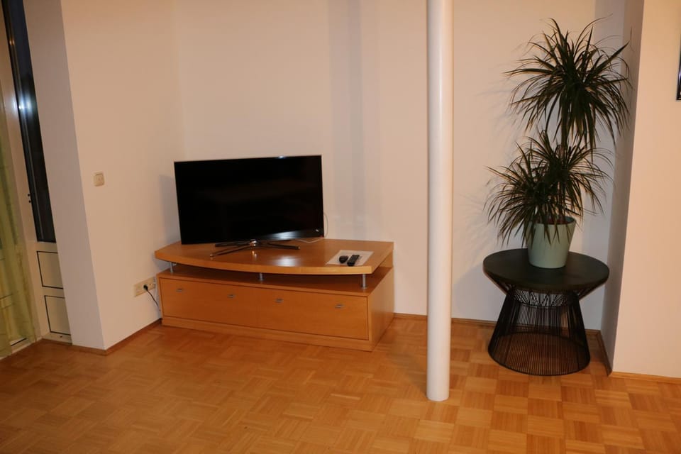 Living room, Photo of the whole room, Decorative detail
