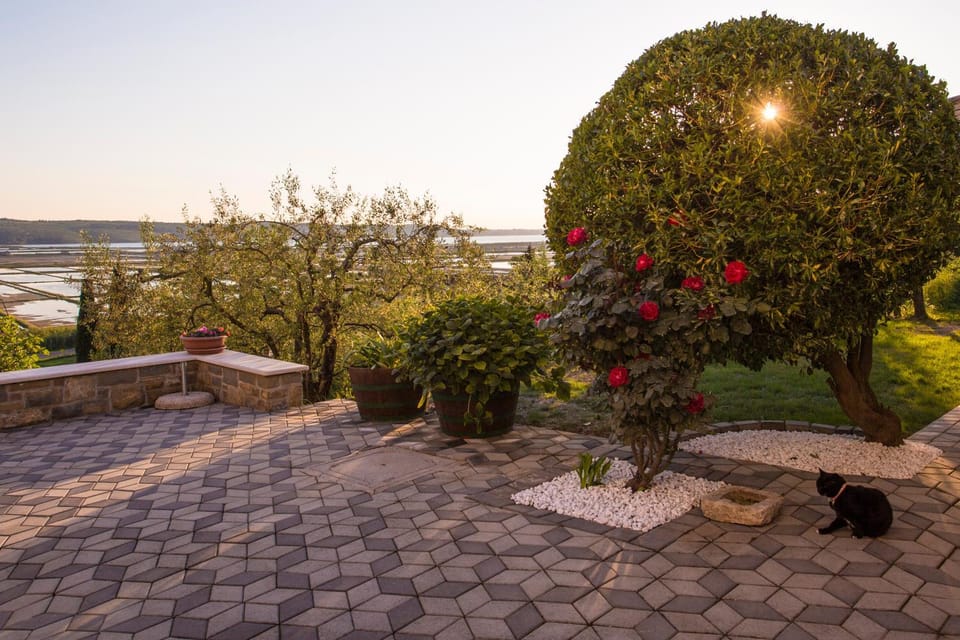 Apartment Stella Portoroz Apartment in Istria County