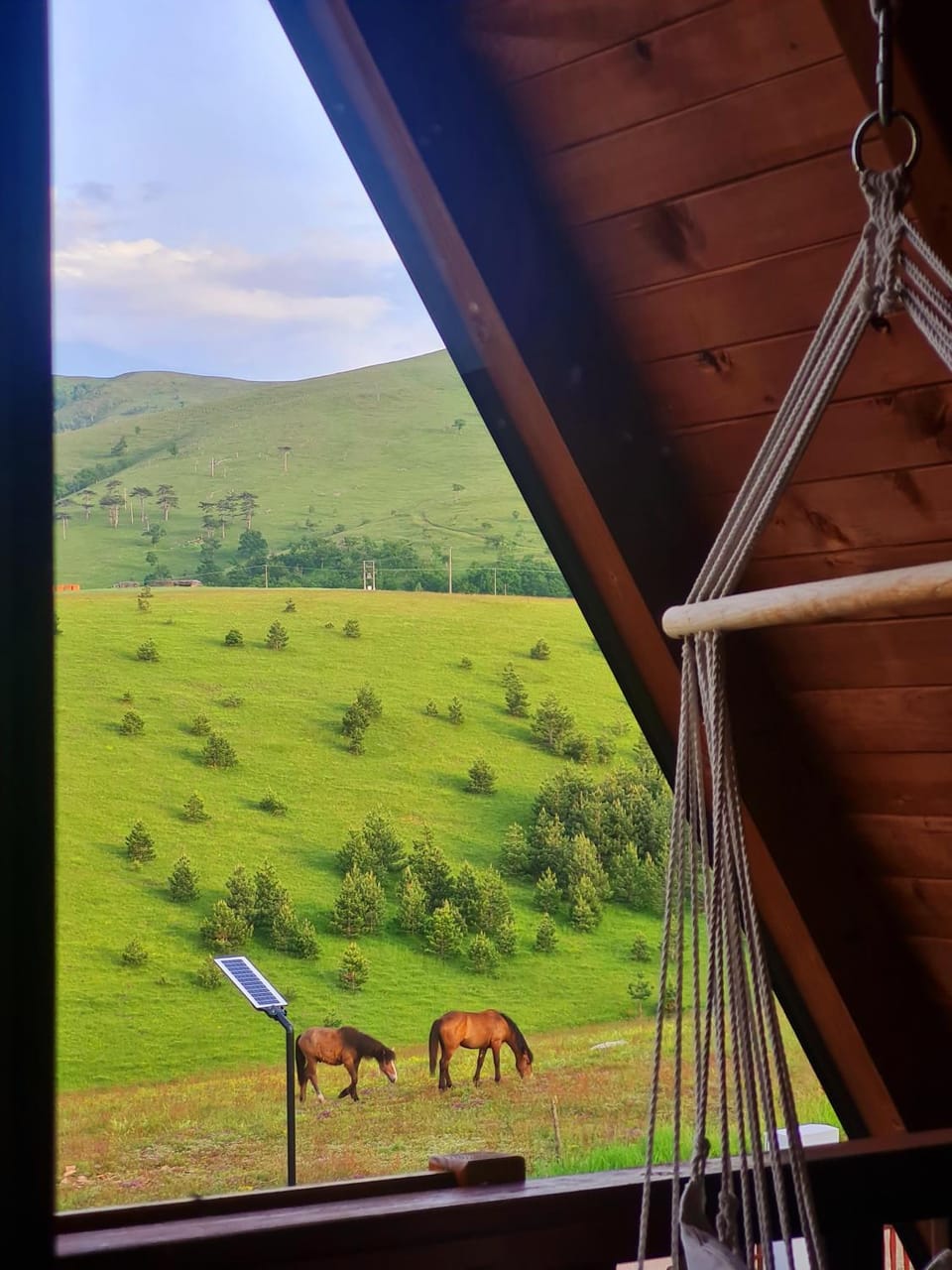 Brvnara Čigota House in Zlatibor