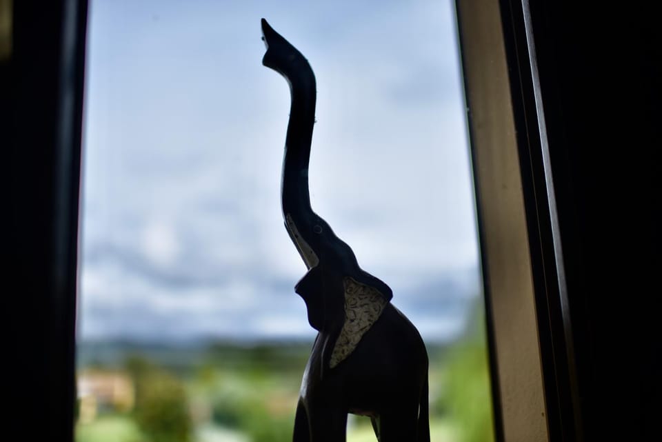 View (from property/room)