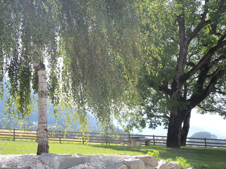 Natural landscape, Garden, Garden view