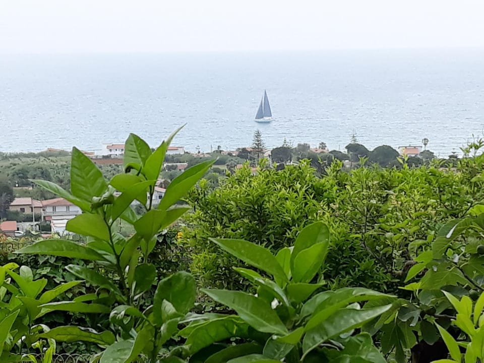 Natural landscape