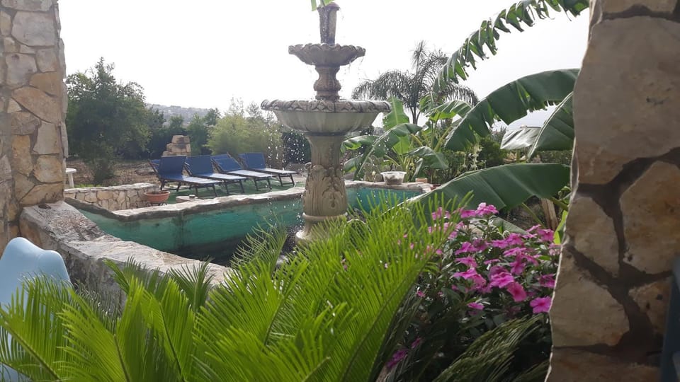 Garden view