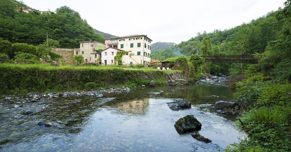 Natural landscape, River view