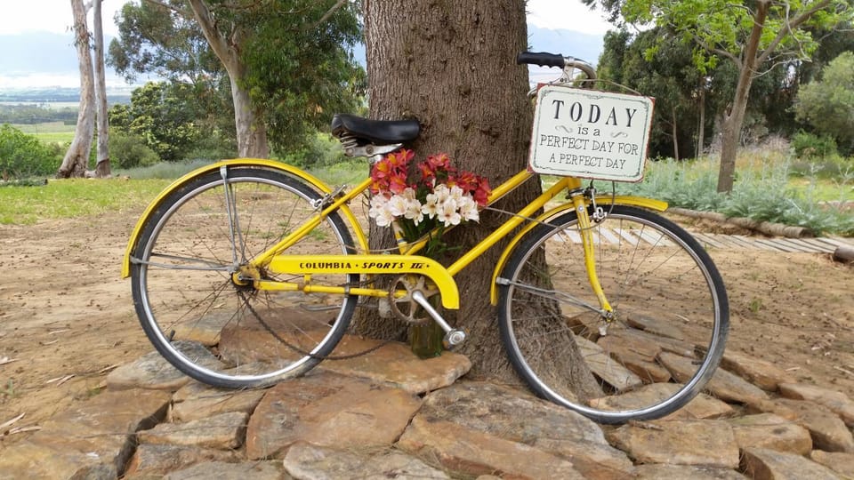 Oudekloof Wine Estate Farm Stay in Western Cape