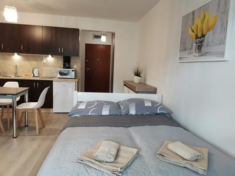 Świnoujście Zdrojowa Apartment in Swinoujscie