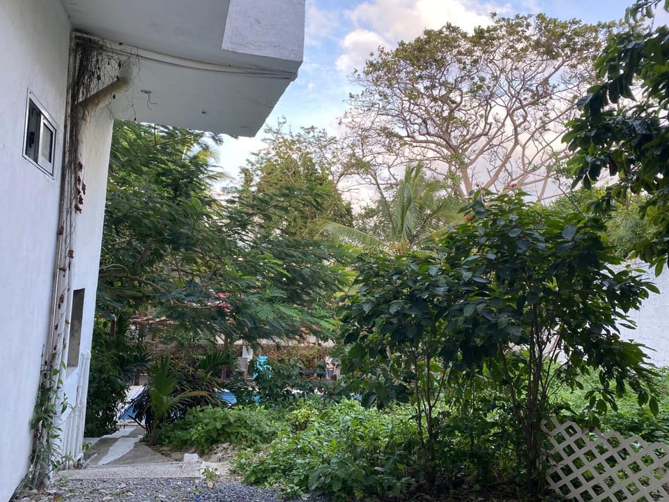 Garden view, Pool view