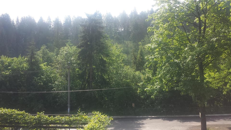 Mountain view, Street view