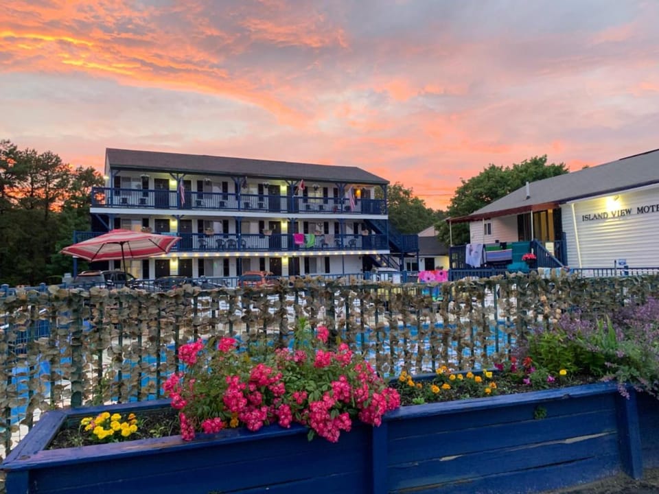 Property building, Day, Garden, Garden view, Pool view, Swimming pool, Sunrise, Sunset