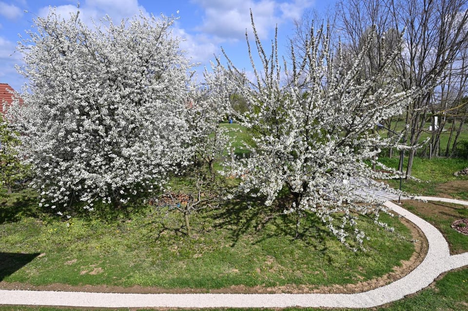 Garden, Garden view