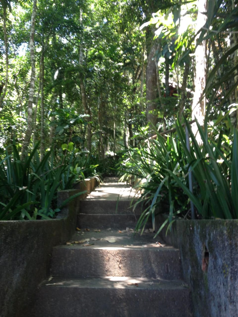 Entre Arvores Refúgio Bed and Breakfast in State of Rio de Janeiro