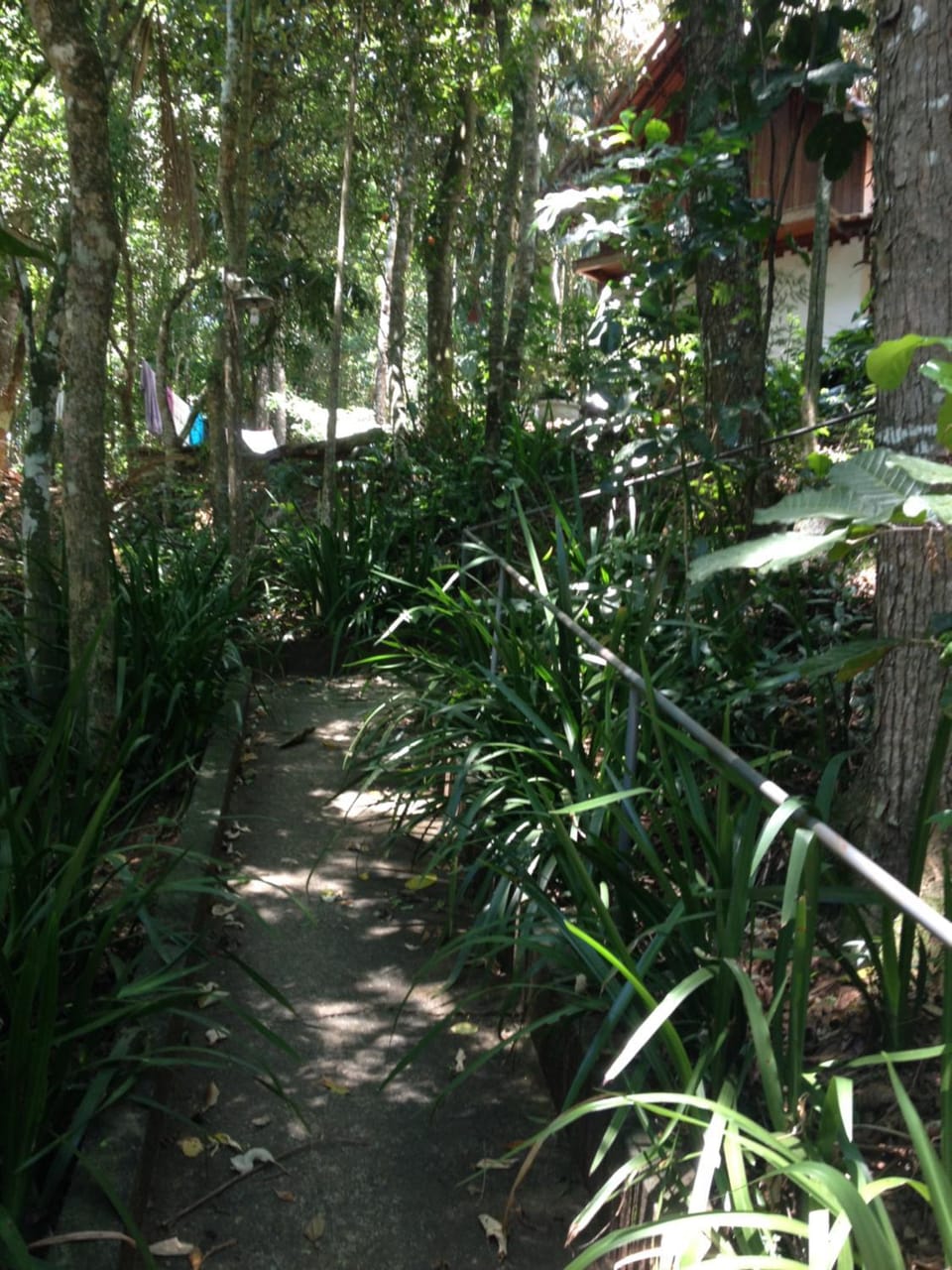 Entre Arvores Refúgio Bed and Breakfast in State of Rio de Janeiro