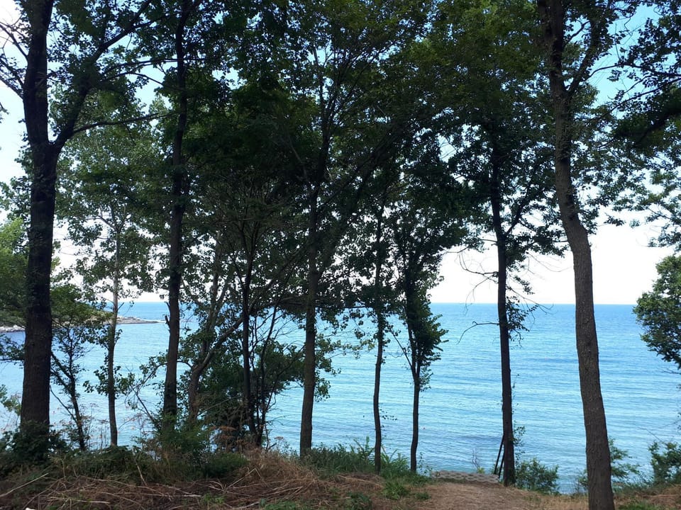 Sea view