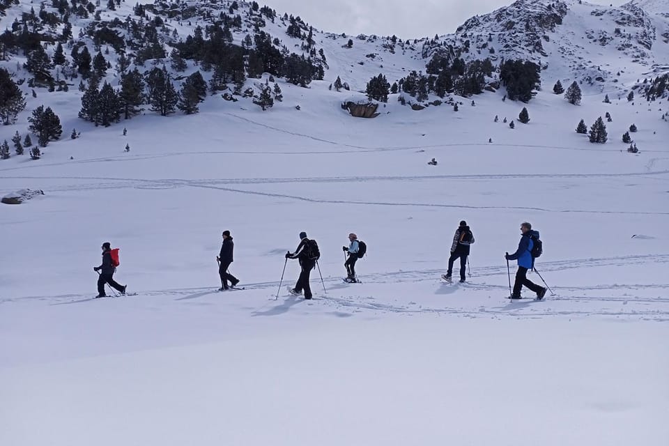 Day, Winter, Skiing