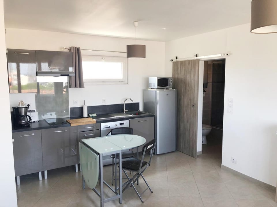 BEAU STUDIO CLIMATISE Rive Gauche Apartment in Palavas-les-Flots