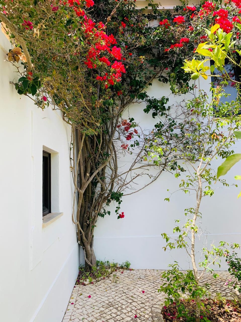 Garden, Garden view
