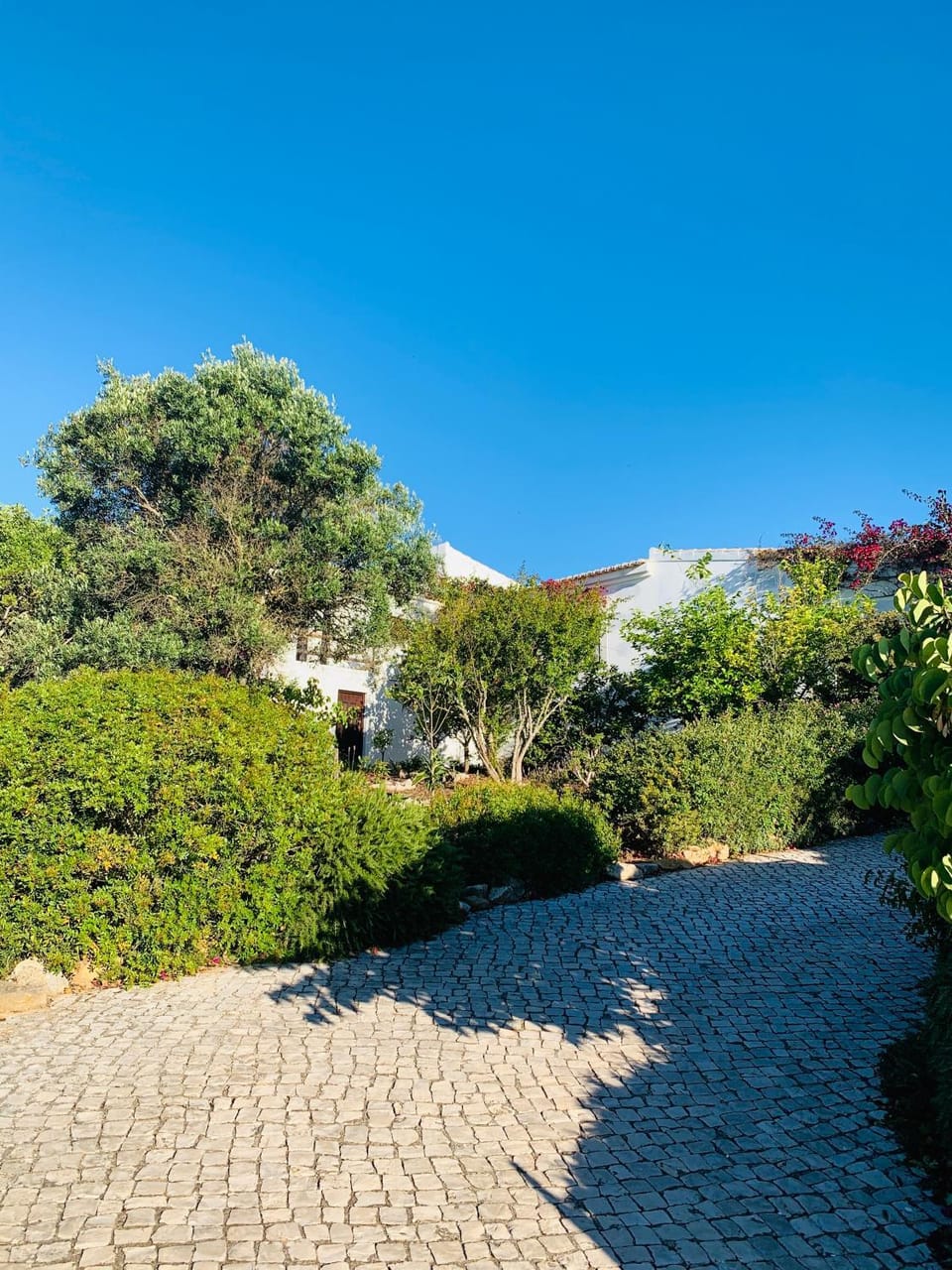 Facade/entrance, Garden