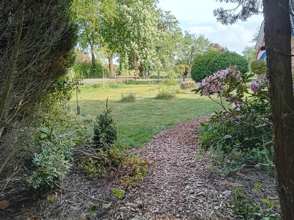 Day, Garden, Garden, Garden view