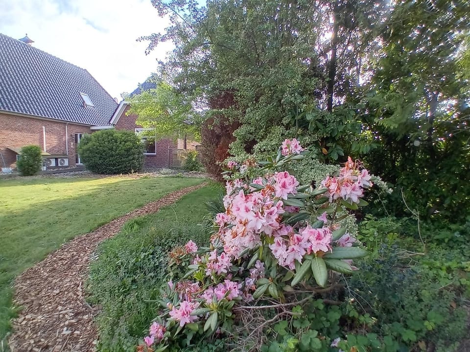 Day, Garden, Garden view