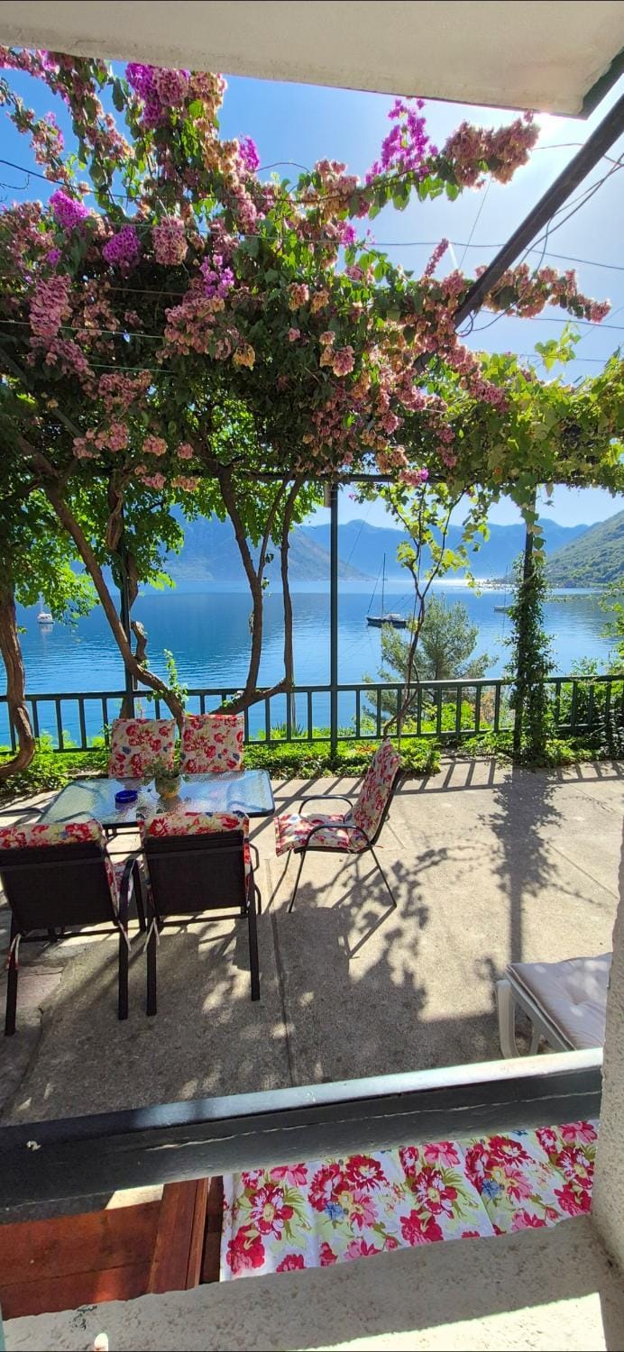Apartment Capt Seferovic Apartment in Kotor Municipality