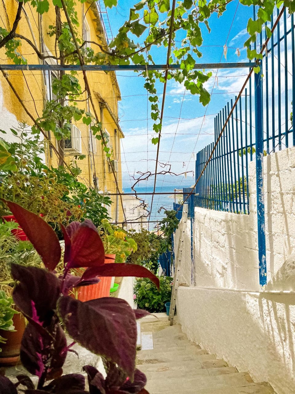 Hostel Andrey Hostel in Sarandë