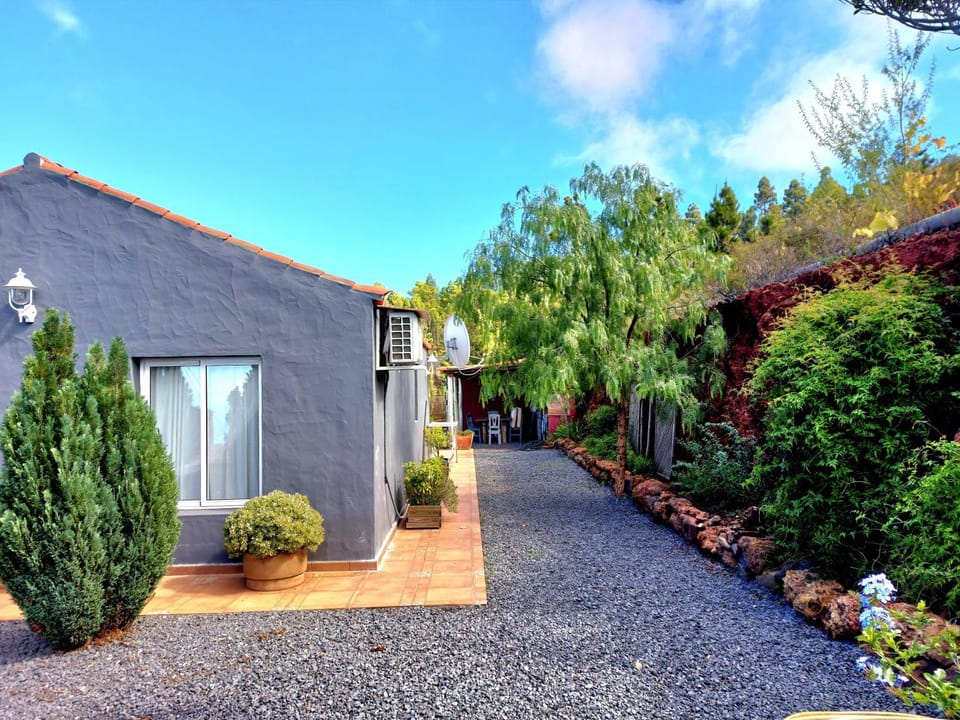 Property building, Garden view
