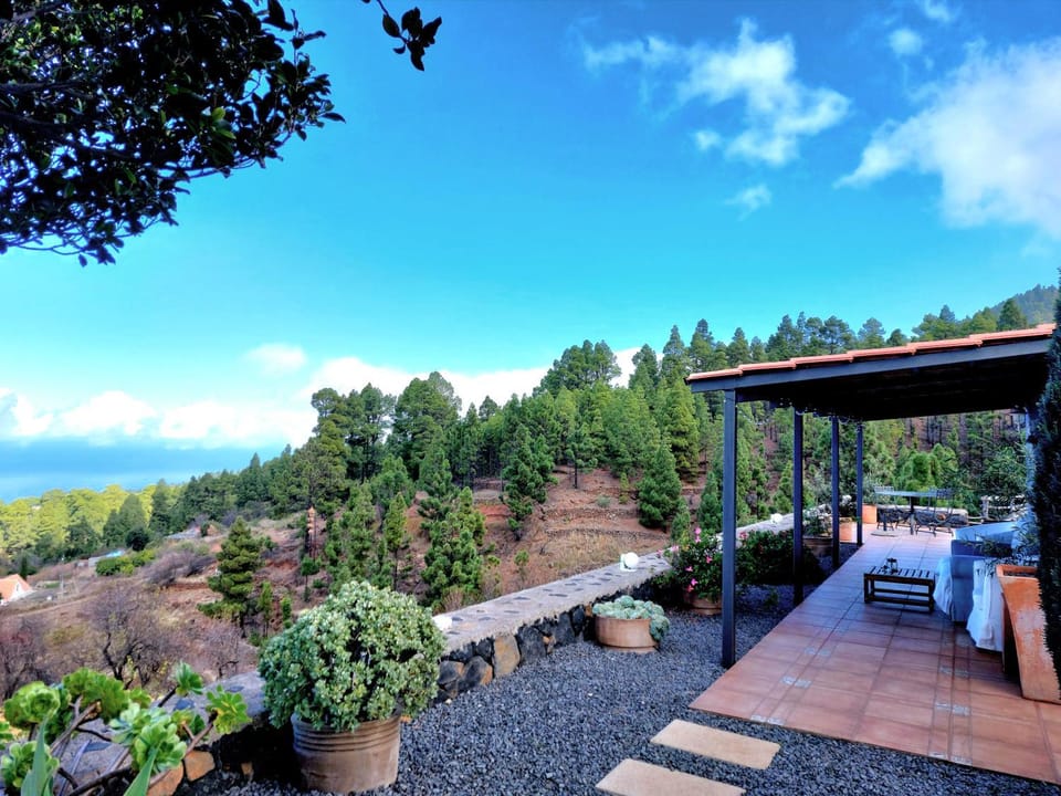 Natural landscape, Garden view