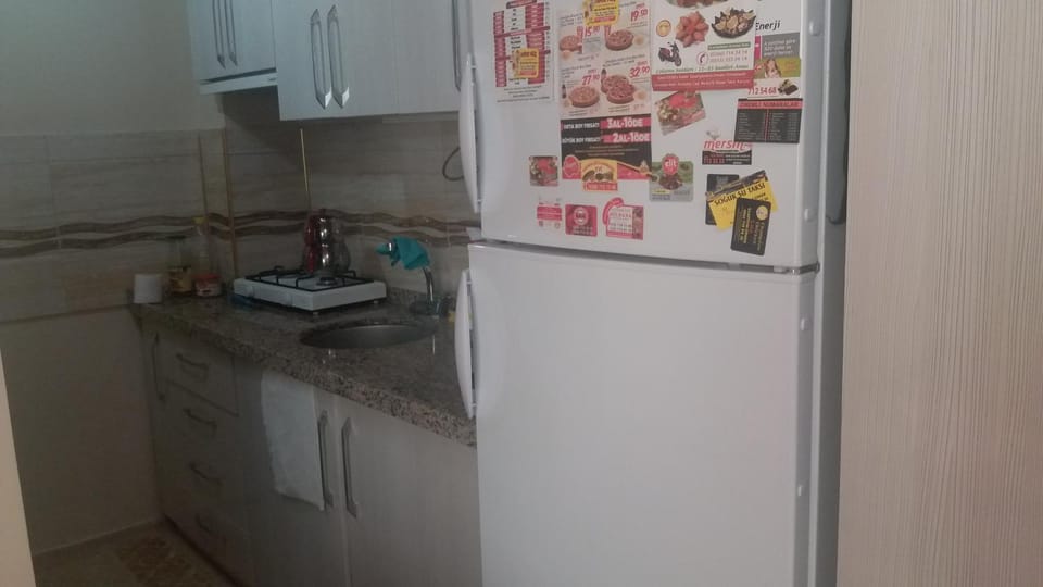 Kitchen or kitchenette, oven, stove