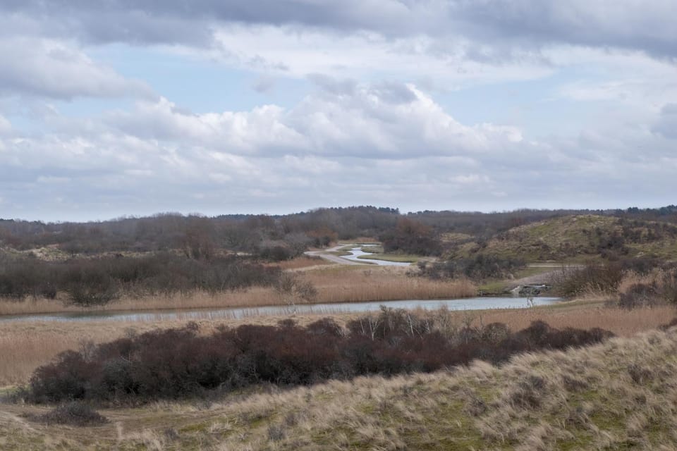 Natural landscape