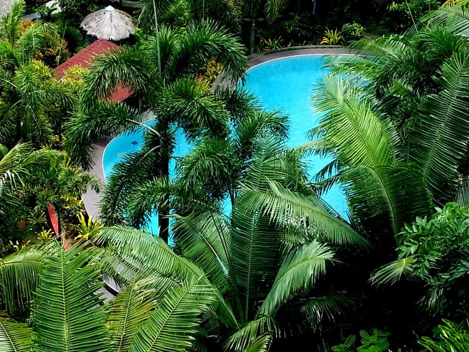 Day, Pool view
