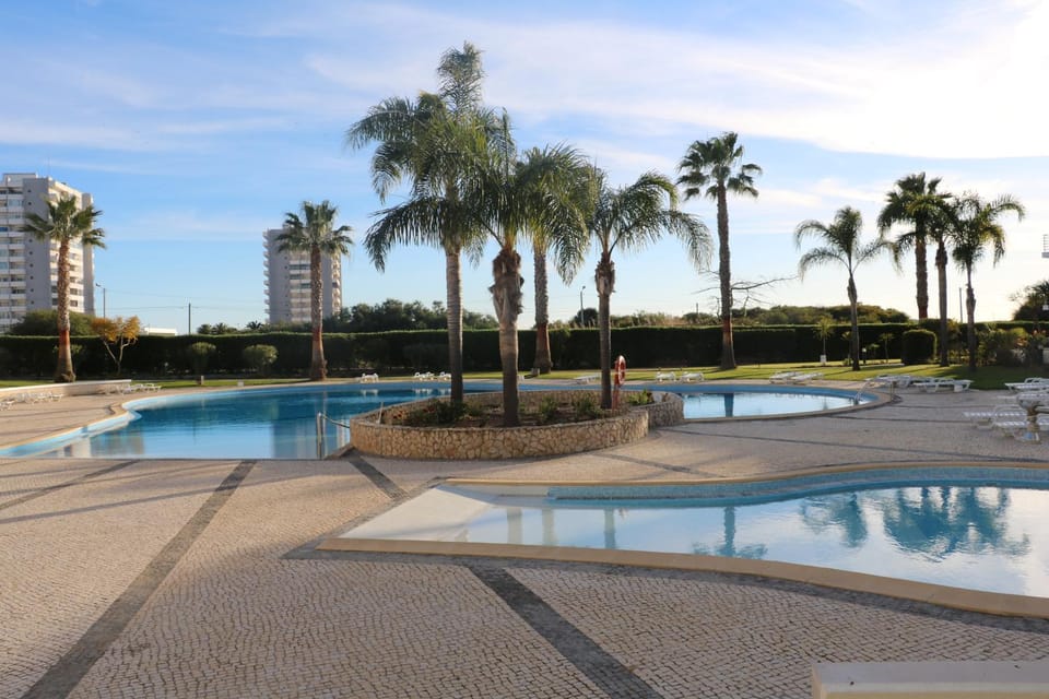 Pool view, Area and facilities, Swimming pool