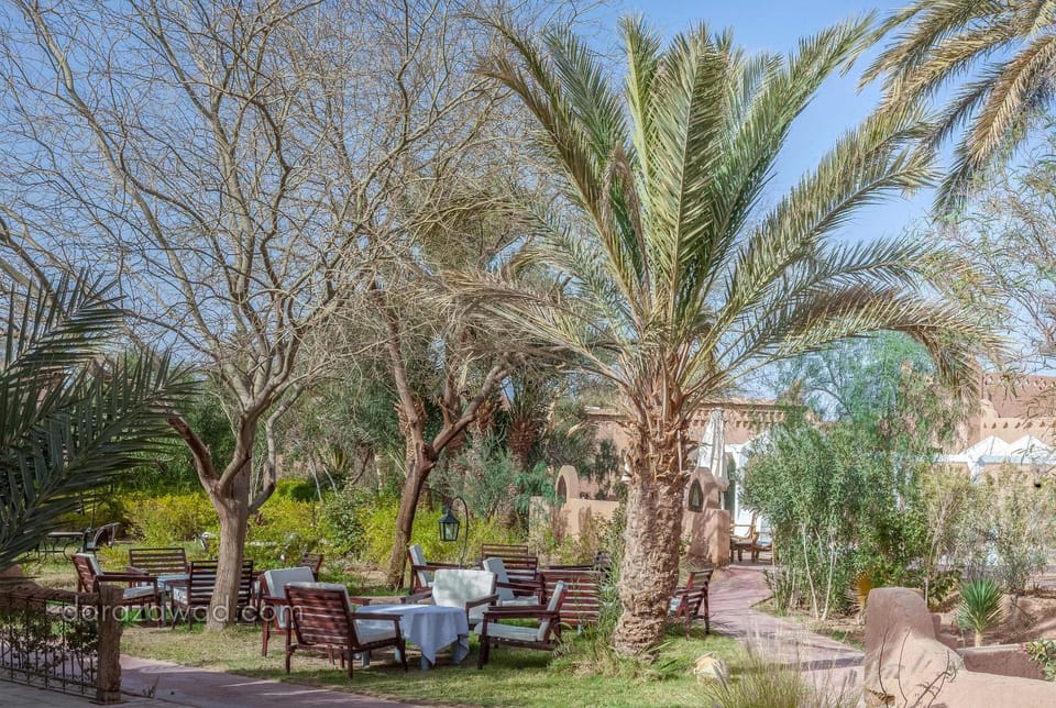 Natural landscape, Garden, Garden view