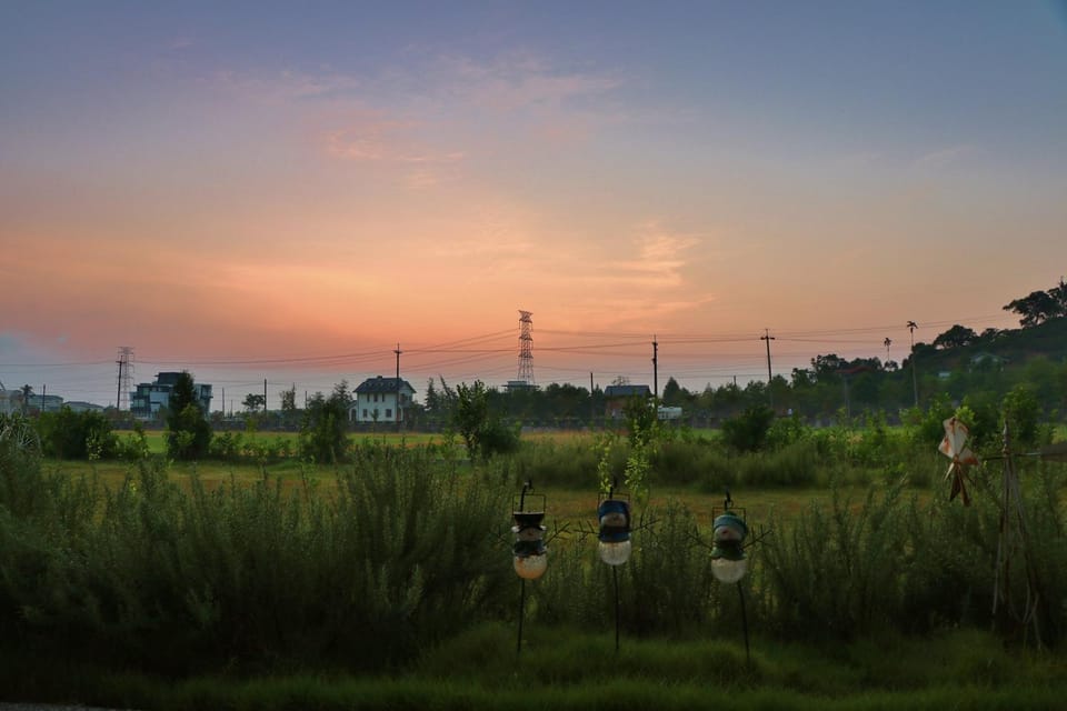 Sunrise