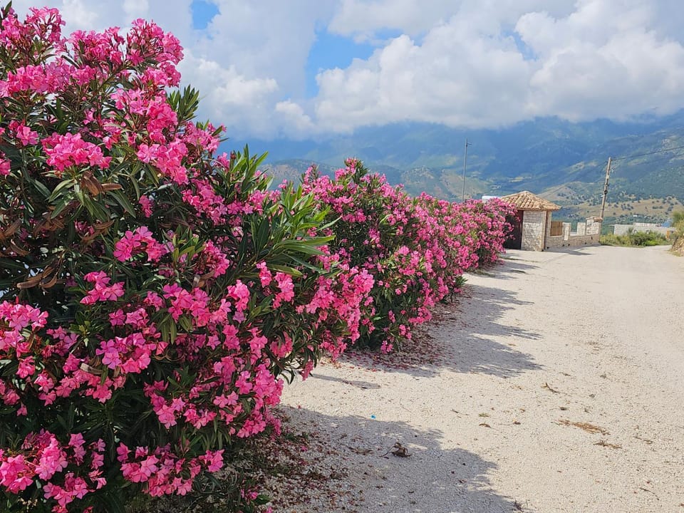 Argileos Apartment in Vlorë County, Albania