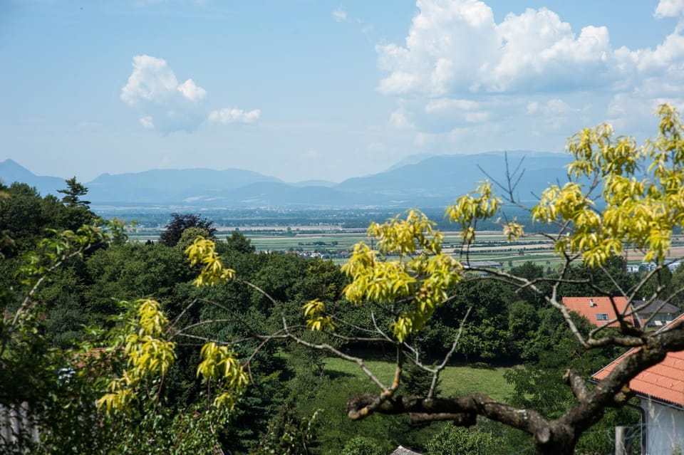 Garden, City view, Garden view, Mountain view