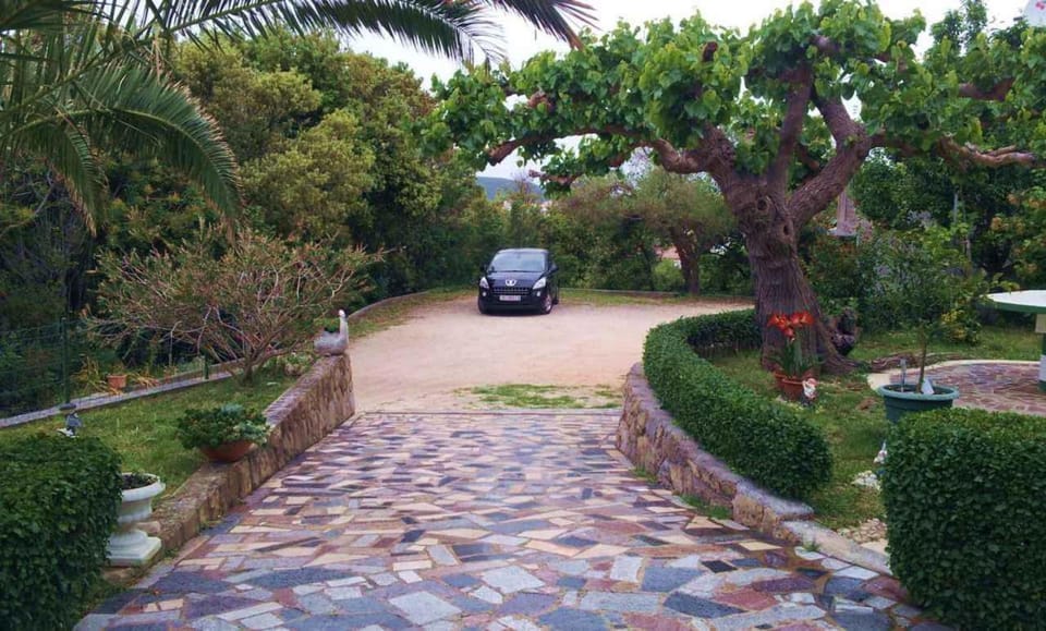 Summer, Parking